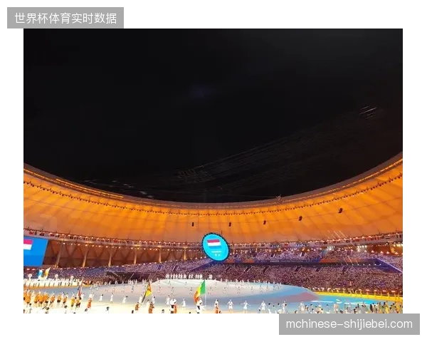 为何大型场馆硬件持续升级，赛事医疗运营的应急处置效率却未能达成预期增长目标？